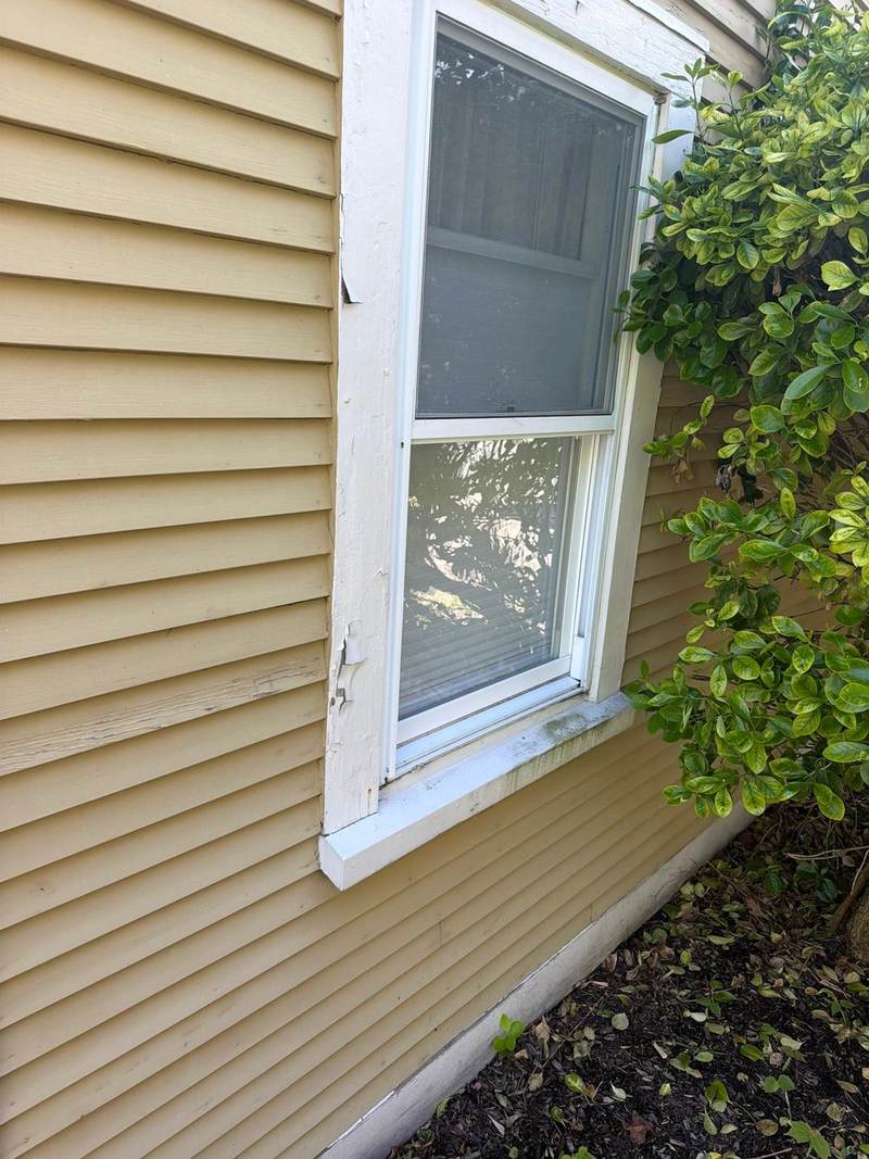 A close view of tan siding and a white-painted window frame on an exterior wall.