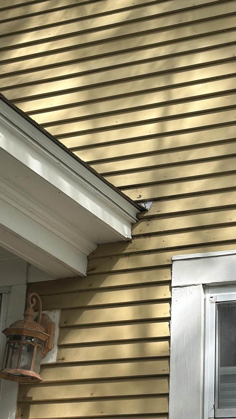 A close view of pale yellow siding meeting a white-painted soffit and gutter line.
